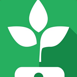 Tithe.ly is the best online giving option for churches