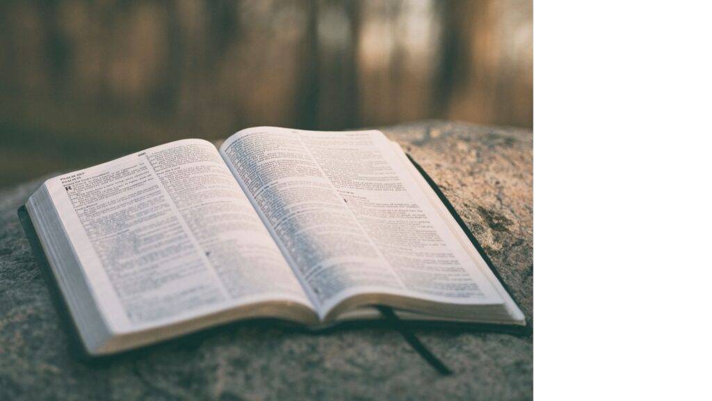 What the Bible Says about Baptism