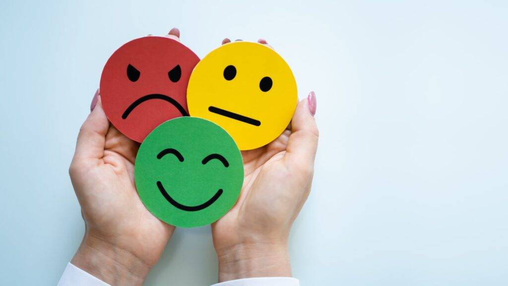 Seek and Use Feedback