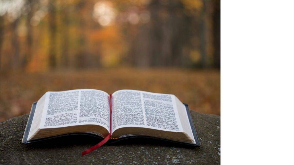 What the Bible Says About Scarcity and Generosity